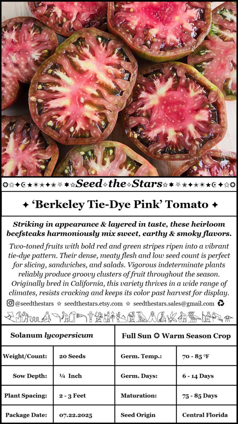 SeedTheStars Berkeley Tie-Dye Tomato Seeds - Thumbnail 5
