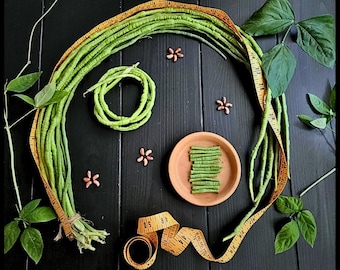 15 &#39;Extra Long Yard Long&#39; Bean Seeds, Asparagus Bean, Guyana Long Bean Seeds, Vigna unguiculata sesquipedalis, Seed The Stars, Yardlong bean