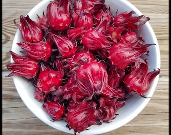 15 'Red' Roselle Seeds, Florida Cranberry Jamaican Sorrel Seeds Hibiscus sabdariffa seeds Flor de Jamaica Caribbean agua fresca Permaculture