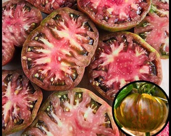 20 'Berkeley Tie-Dye Pink' Tomato Seeds – Heirloom Beefsteak Rainbow Slicer, Sweet & Smoky Flavor, Open-Pollinated, Organic, Indeterminate