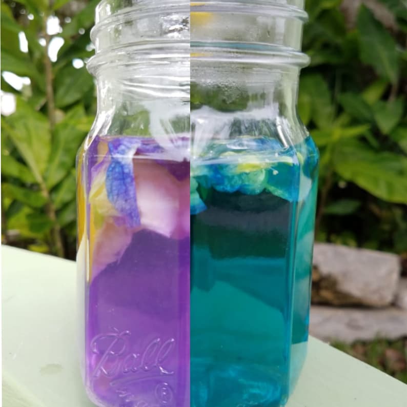 15 Blue Butterfly Pea Seeds Butterfly Garden Edible Flowers Etsy Norway