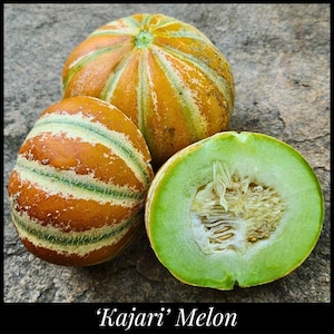 May include: Three Kajari melons, one cut in half, showcasing the green flesh and seeds. The whole melons have a brown and yellow striped rind. The text "Kajari Melon" is at the bottom.