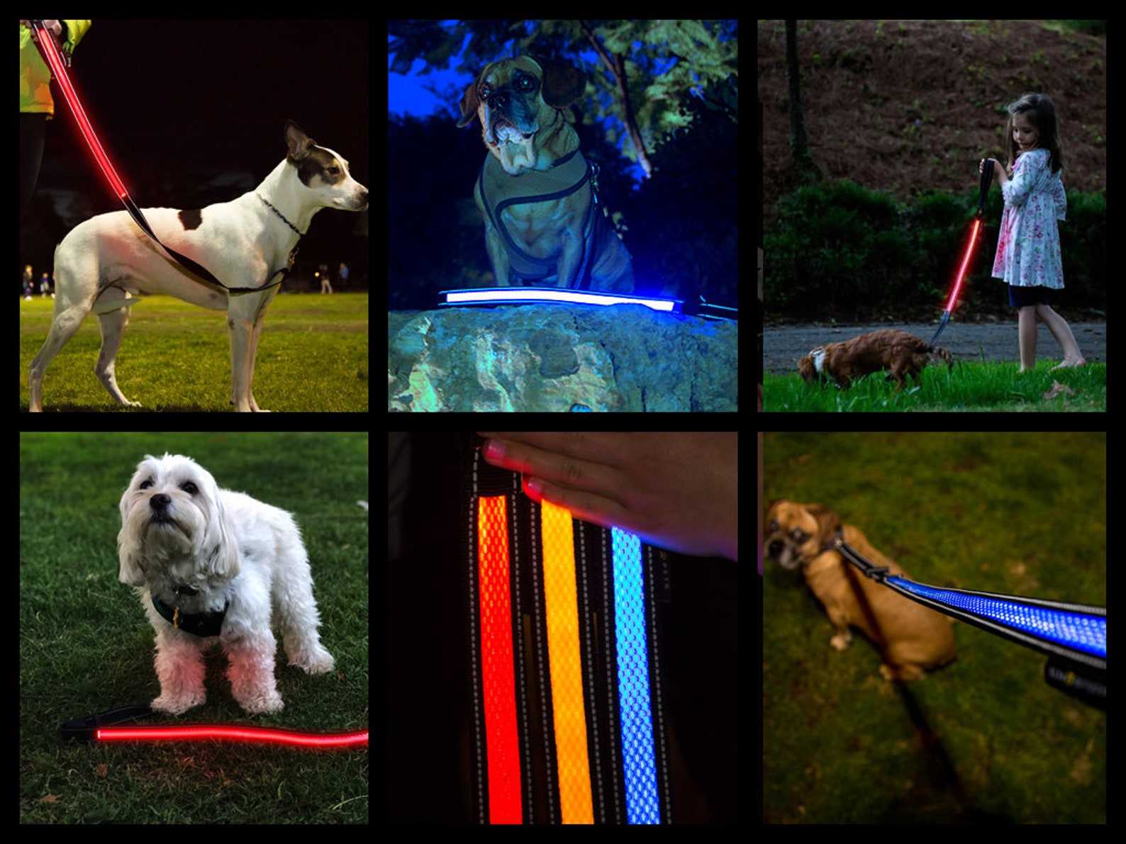 Lighted LED Dog Leash NEON BLUE Etsy