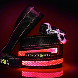 Lighted LED Dog Leash -FIRE RED