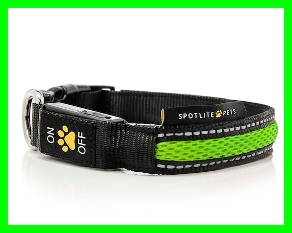 led lighted dog collars