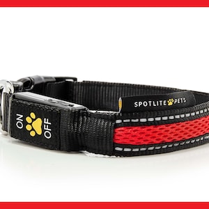 LED Lighted Dog Collar - FIRE RED