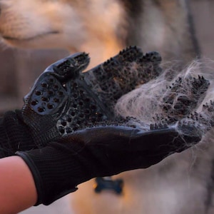 Premium Grooming Glove - SPOTLITE PETS