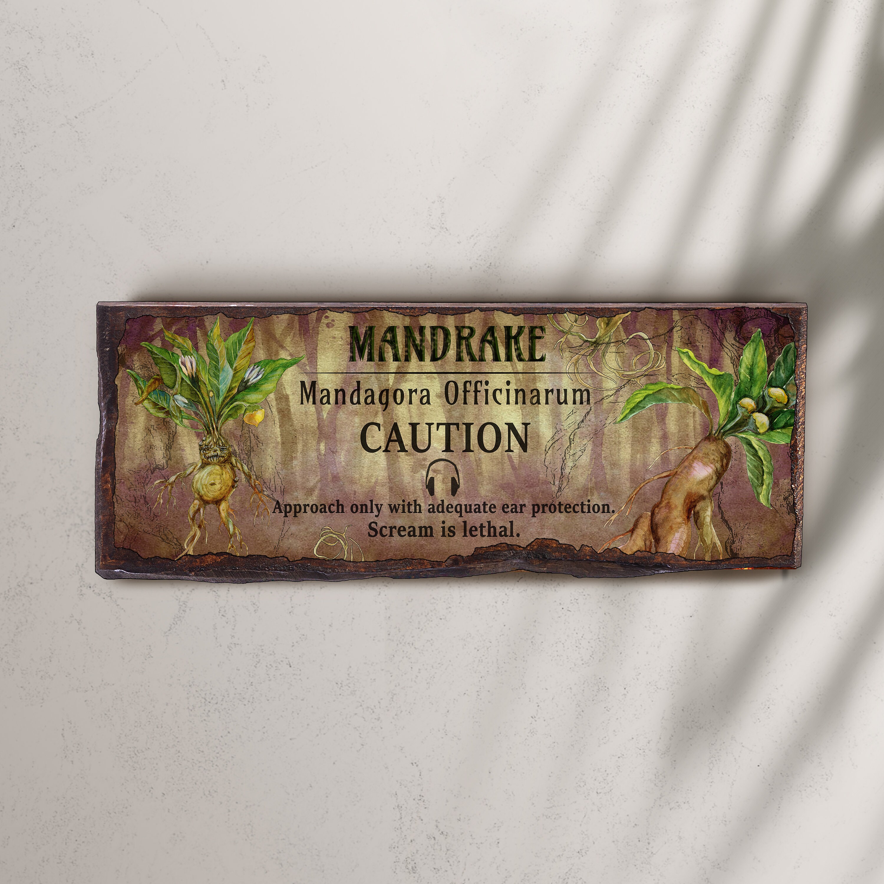 Mandrake Fantasy art Wooden sign Alchemist Magical herbs | Etsy