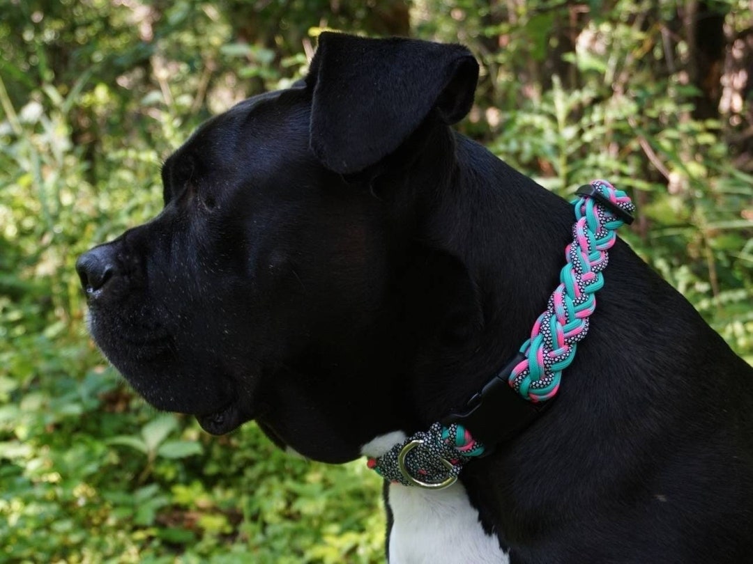 Collier Pour Chien En Or Blanc 18k « Talisman » – Avec Corail – Ras Du Cou