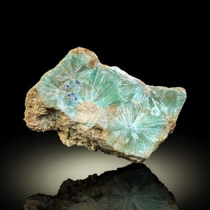 May include: A mineral specimen featuring a striking display of radiating, crystal formations in shades of teal and blue. The crystals are set against a matrix of tan-colored rock, creating a beautiful contrast. The mineral's surface reflects light, highlighting its intricate structure.