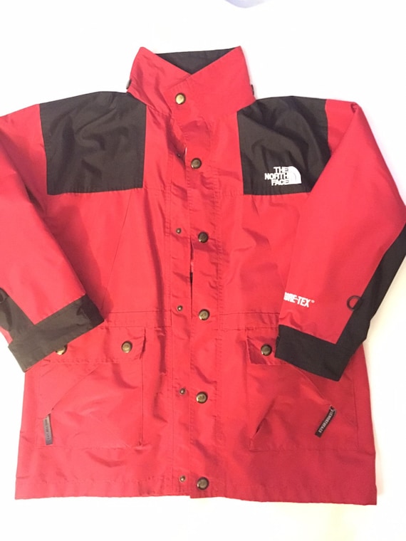 the north face mountain 2in1