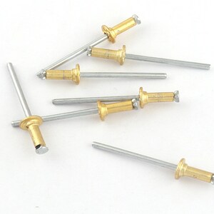 Copper Rivets and Burr 12 10 Pack 4 Sizes T4-6-8 