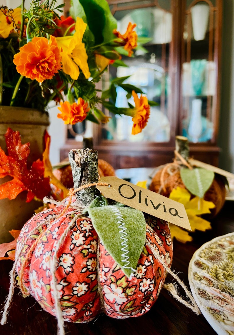 May include: A small, fabric pumpkin with a floral pattern and a green leaf. A brown tag with the name "Olivia" is attached to the pumpkin.