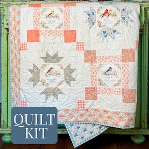 May include: A patchwork quilt featuring four square panels with bird illustrations and text, surrounded by coral and blue floral and gingham fabric borders. The quilt displays a white background with intricate stitching and a blue checkered edge.
