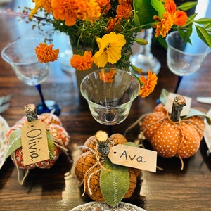 May include: A Thanksgiving table setting with three place settings. Each place setting has a small pumpkin with a name tag. The pumpkins are brown and orange with white polka dots. The name tags are brown paper with black handwritten names. The names are Olivia and Ava.