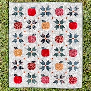 Puede incluir: Una colcha blanca con un patr&oacute;n repetido de manzanas rojas y bloques en forma de estrella en blanco y negro. La colcha est&aacute; hecha con una variedad de telas y texturas.