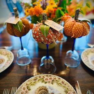 May include: A Thanksgiving table setting with three orange and brown fabric pumpkins with blue glass stems. The pumpkins have name tags with the names "Olivia" and another name that is not visible. The table is set with a white plate with a turkey design and a floral border.