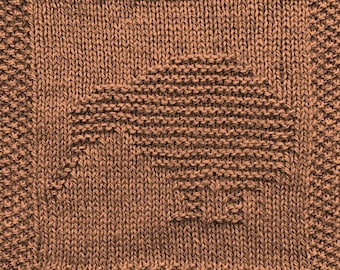 Knitting Pattern for Kiwi Bird Washcloth or Afghan Square