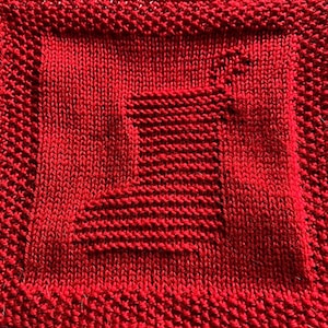 May include: A red knitted square with a smaller red square in the center. The smaller square is offset to the right and bottom of the larger square.