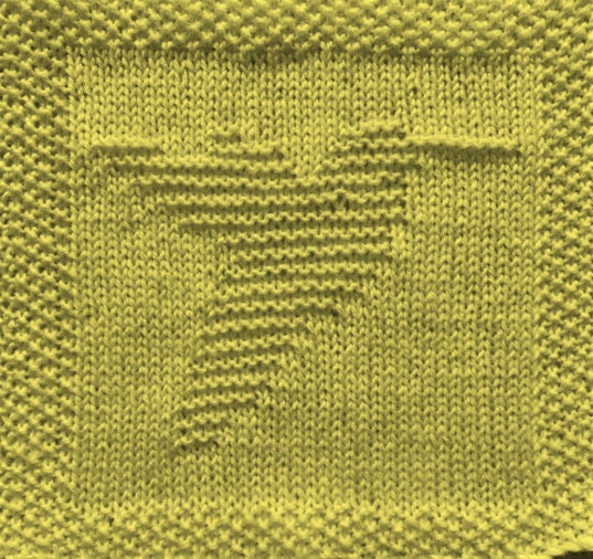 Knitting Pattern for Hummingbird Washcloth or Afghan Square Etsy