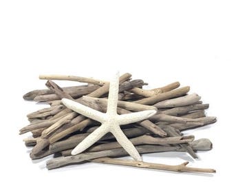 Driftwood Art Sculptures by Jeffro Uitto