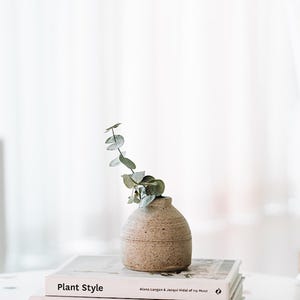 May include: A small, light brown ceramic vase with a rough texture sits on top of two books. The vase holds a sprig of green eucalyptus leaves. The top book has the title "Plant Style" printed on the cover.