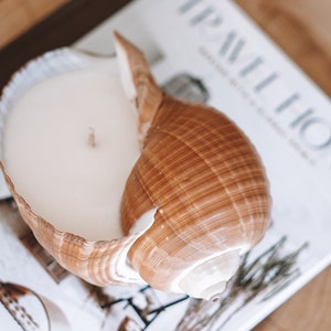 May include: A white candle in a large seashell with brown and white stripes. The shell is sitting on a magazine with the word "Travel Home" printed on the cover.