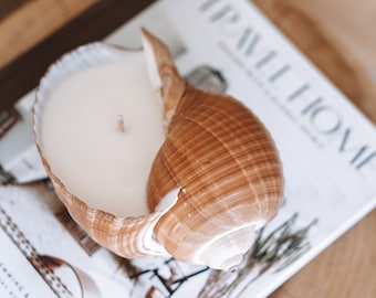 Tun shell soy candle, genuine large shell with scented soy wax on wooden stand in 2 sizes