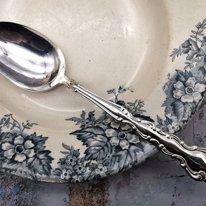 May include: A silver spoon with an ornate handle sits on a white plate with a blue and white floral design.