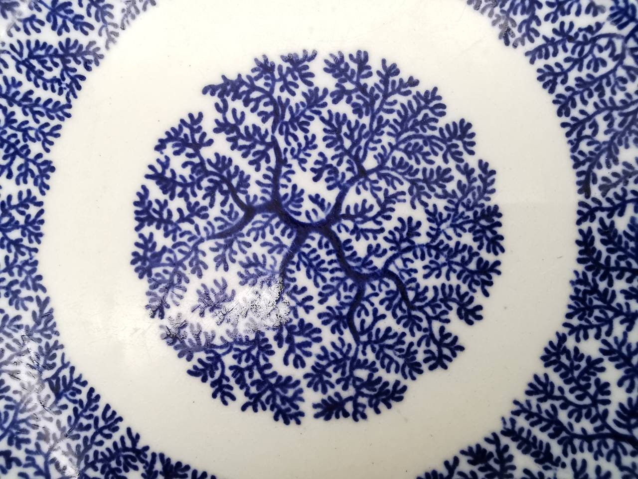 Plate for Food Photography Woolworths Fibre Pattern Plate Etsy