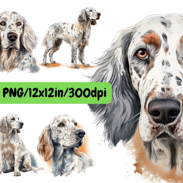 Setter anglais aquarelle Clipart, set 5 chien PNG pour créer des cadeaux, impression sur T-shirts, affiches, toile, tasses, gobelets, cartes, sacs