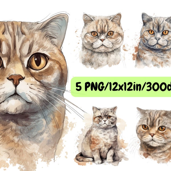 Scottish Fold Cat Watercolor Clipart, set 5 PNG for to create gifts, for printing on T-shirts, Posters, Canvas, Cups, Tumblers, Cards, Bags