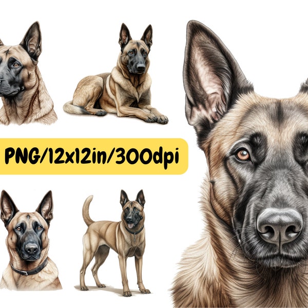Belgian Malinois Watercolor Clipart, set 5 dog PNG for creating gifts, print on T-shirts, Posters, Canvas, Mugs, Tumblers, Cards