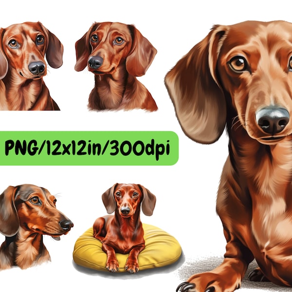 Dachshund Watercolor Clipart, set 5 dog PNG for creating gifts, print on T-shirts, Posters, Canvas, Mugs, Tumblers, Cards, Bags