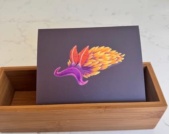 Cartão de notas com xale espanhol