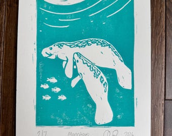 Mom and baby manatee pair in teal