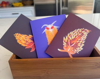 Pacote com 3 cartões de anotações sobre nudibrânquios.