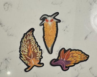 Pacote com 3 adesivos de vinil com arte de nudibrânquios.