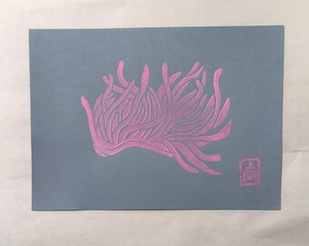 Estampa de rosa Hopkins rosa, papel cor de fumaça