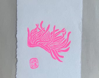 Nudibrânquio rosa Hopkins rosa, mistura de algodão