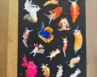 Pôster em tela de nudibrânquio
