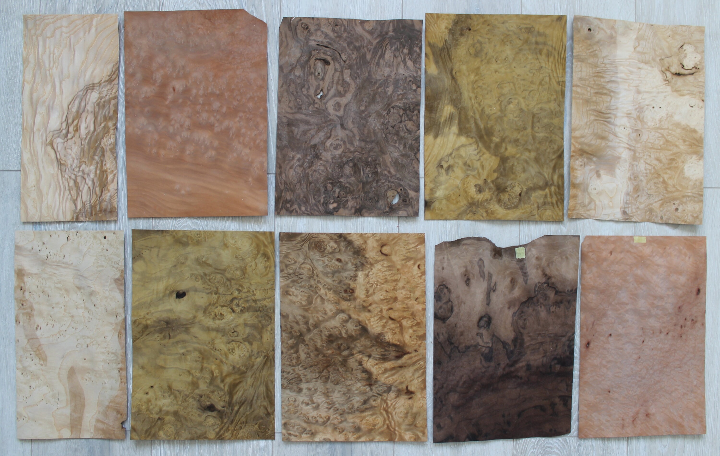 Burl wood veneer sheets burl veneer mix veneer pack 10 Etsy