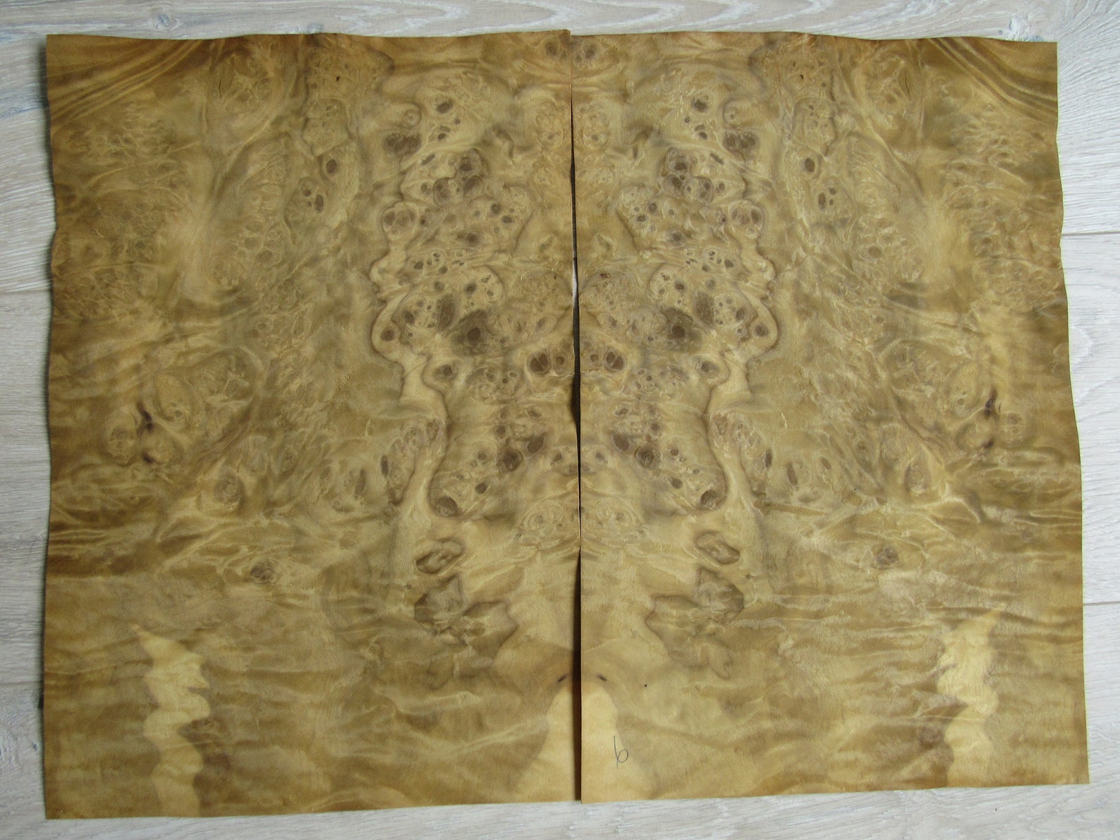 Laurel Burl Wood Veneer 2 sheets 37 x 25 cm 14.5 x Etsy