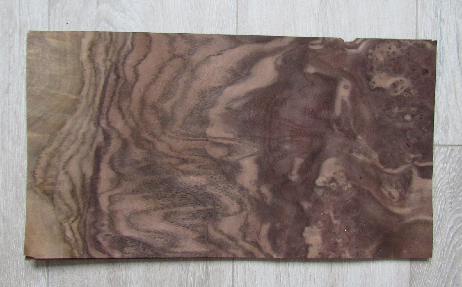 Bookmatching walnut burl veneer 2 sheets 16.5 x 866 Etsy