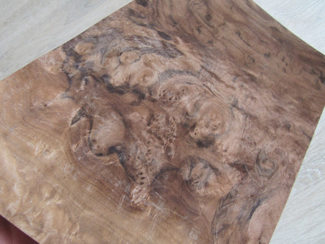 Walnut burl wood veneer 2 sheets 12.2 x 9.44 31 x | Etsy
