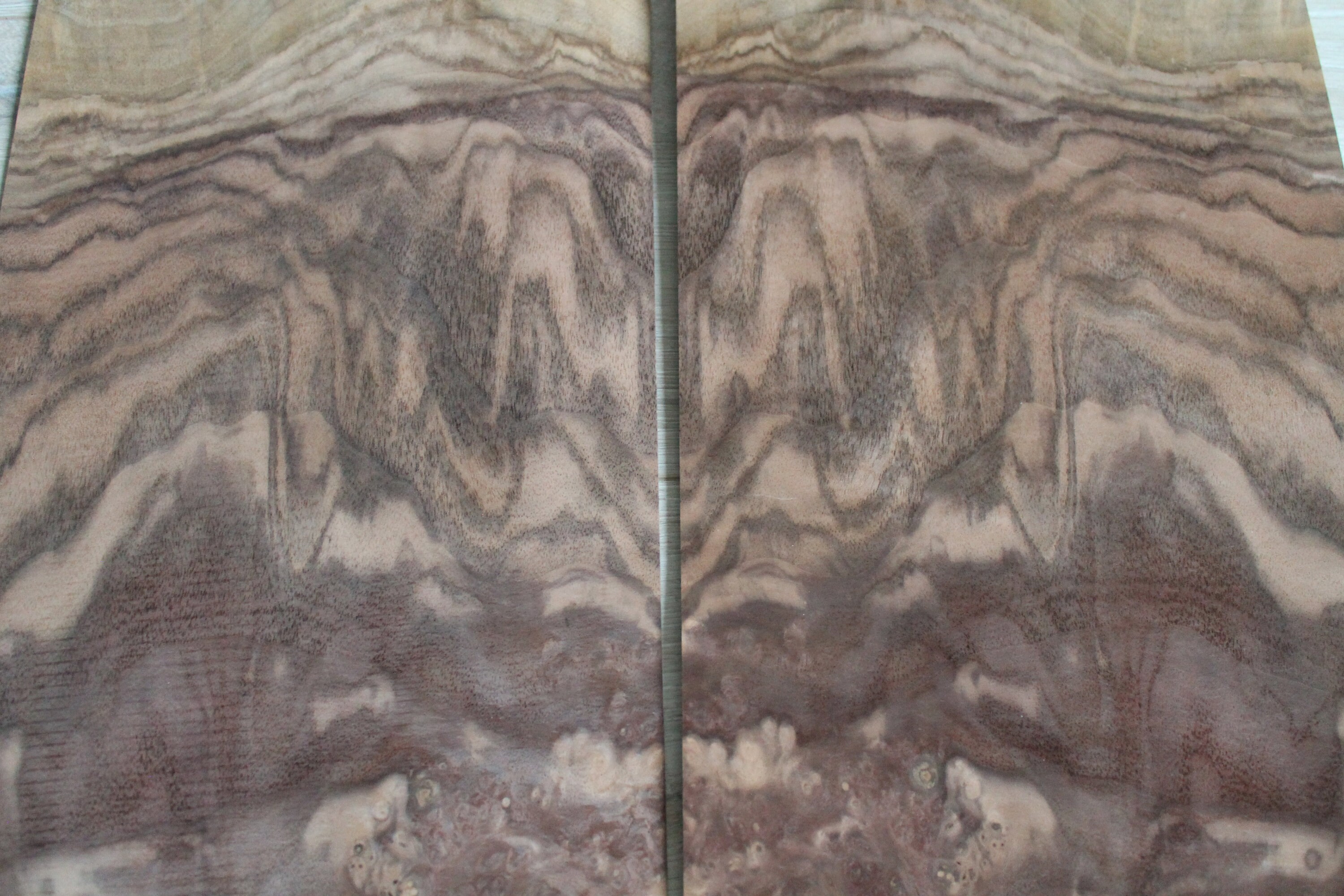 Book-matching walnut burl veneer 2 sheets 16.5 x 866 | Etsy