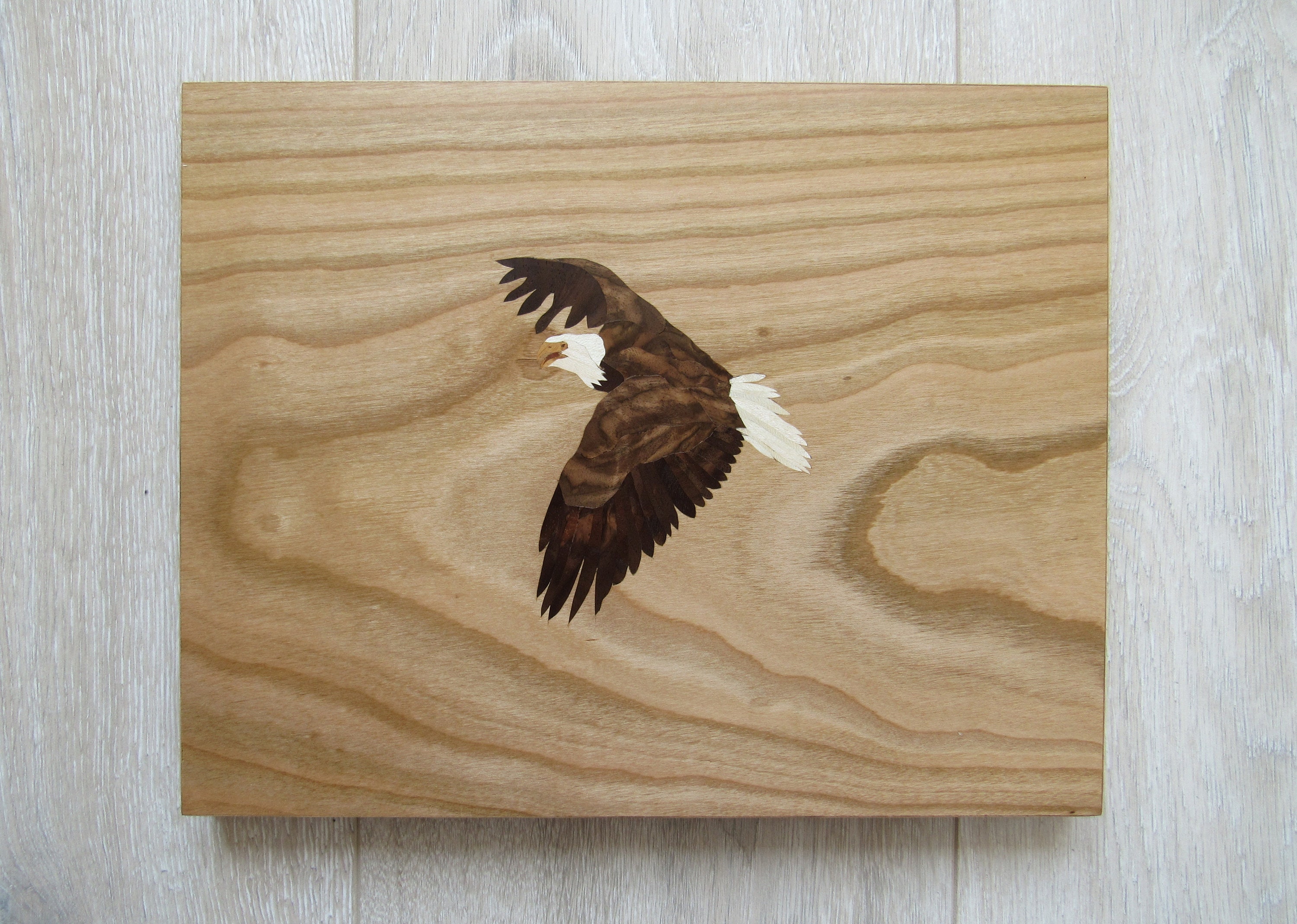 Document holder in marquetry with birds 30 x 22 cm We j…