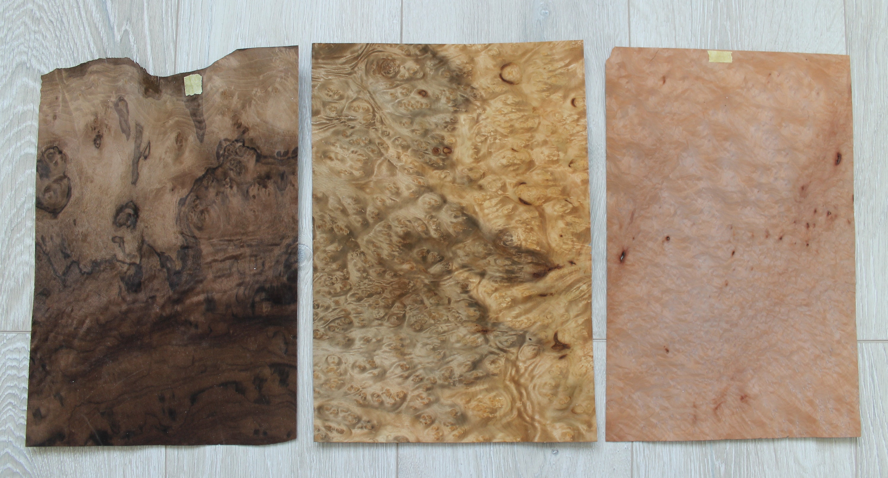 Burl wood veneer sheets burl veneer mix veneer pack 10 Etsy