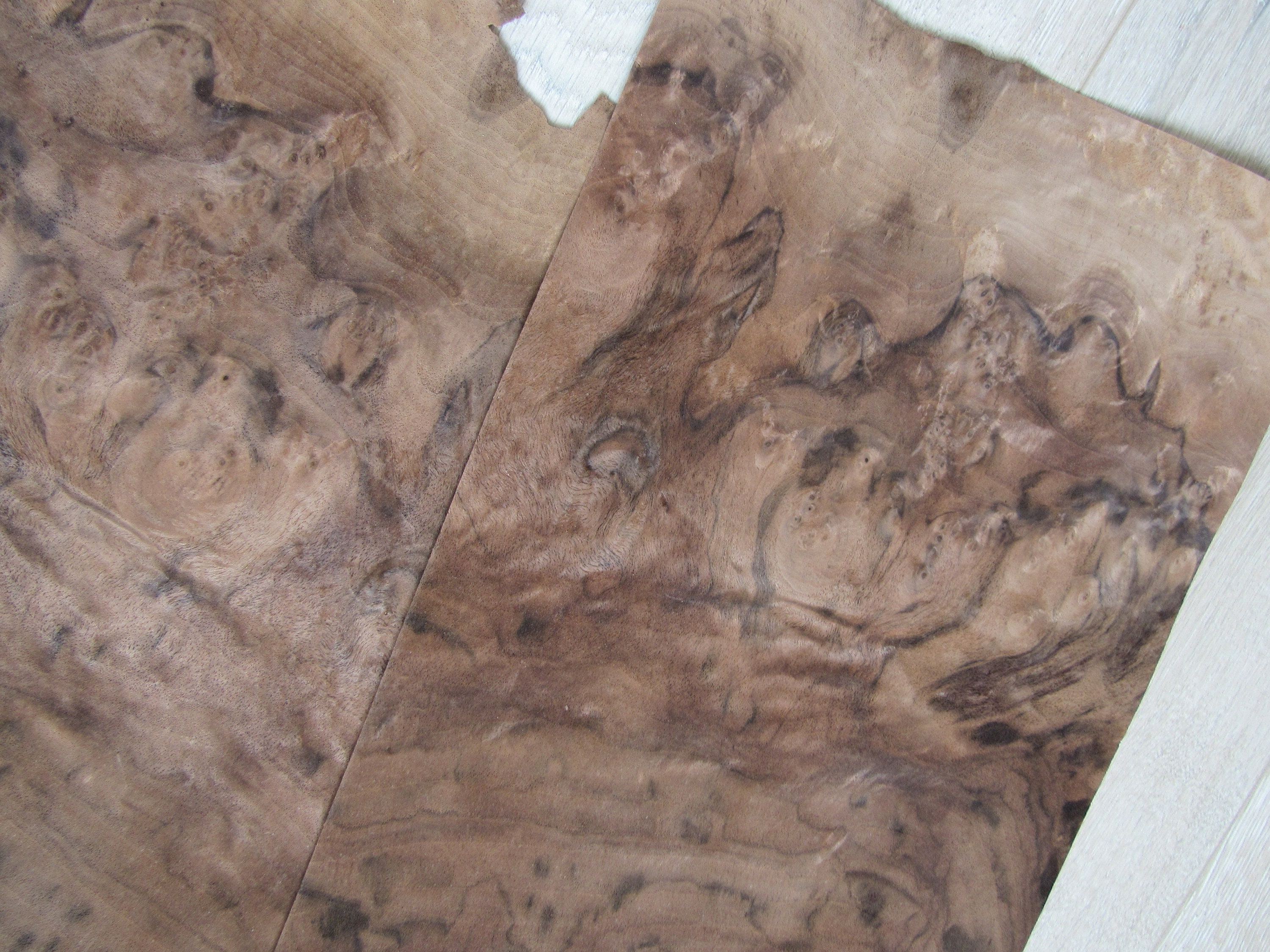 Walnut burl wood veneer 2 sheets 12.2 x 9.44 31 x | Etsy