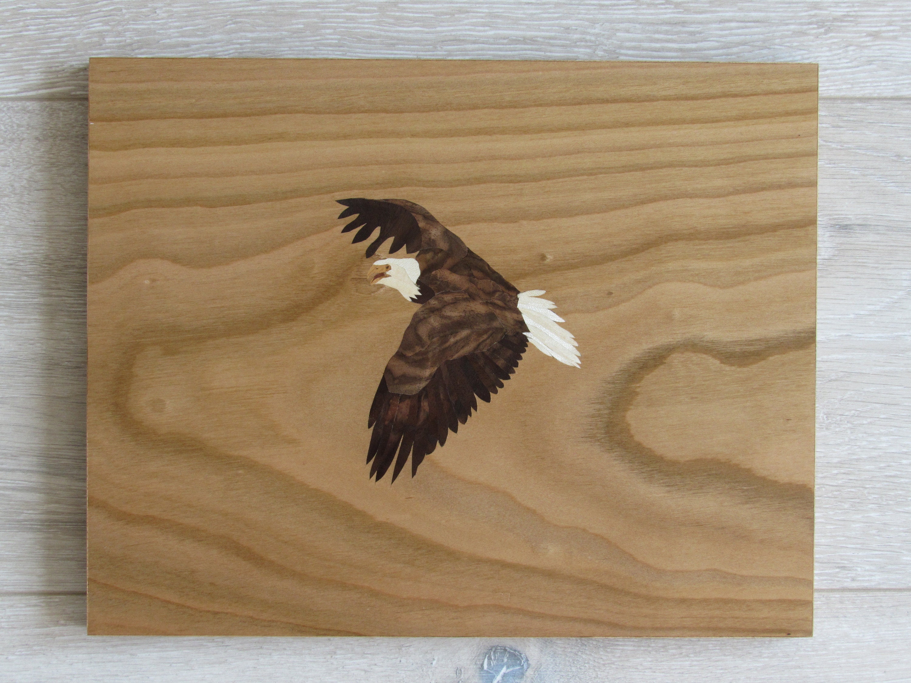 American Eagle Wood Wall Art Sea Eagle Marquetry Wood Etsy